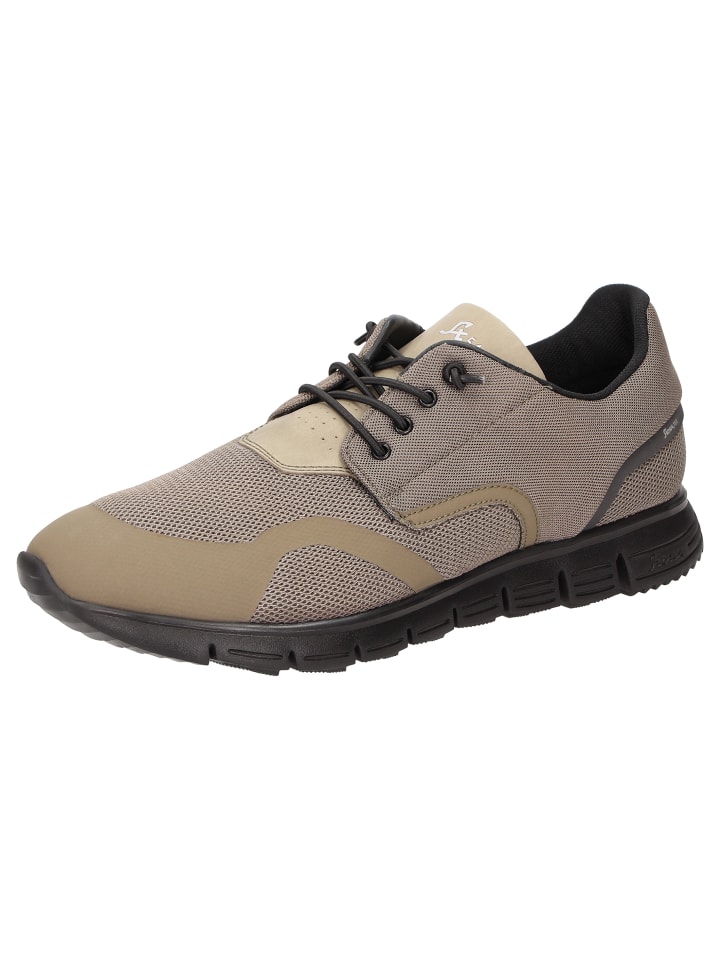 Кроссовки Mokrun-H-2024-TEX зеленого цвета Sioux
Кроссовки Mokrun-H-2024-TEX зеленого цвета Sioux