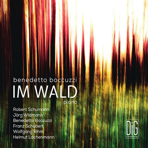 CD диск Boccuzzi / Boccuzzi: Im Wald
CD диск Boccuzzi / Boccuzzi: Im Wald