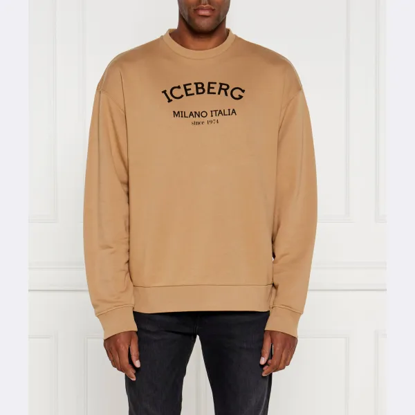 Толстовка обычного кроя Iceberg, коричневый
Толстовка обычного кроя Iceberg, коричневый