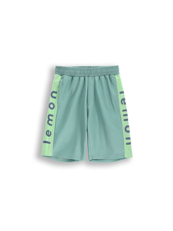 Шорты Lemon explore, оливково-зеленый
Шорты Lemon explore, оливково-зеленый
