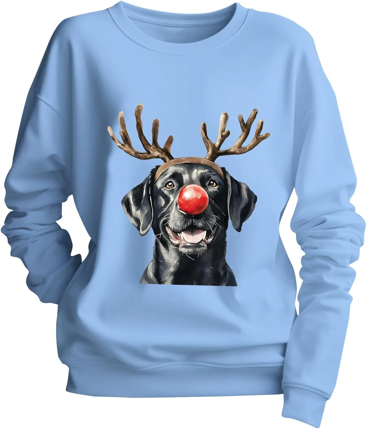 Свитшот с принтом "Рождественский черный лабрадор" Yuisi Doxn
Свитшот с принтом "Рождественский черный лабрадор" Yuisi Doxn