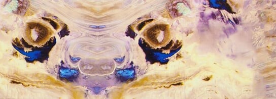 Трансферная фольга для ногтей - F103, Raisin
Трансферная фольга для ногтей - F103, Raisin