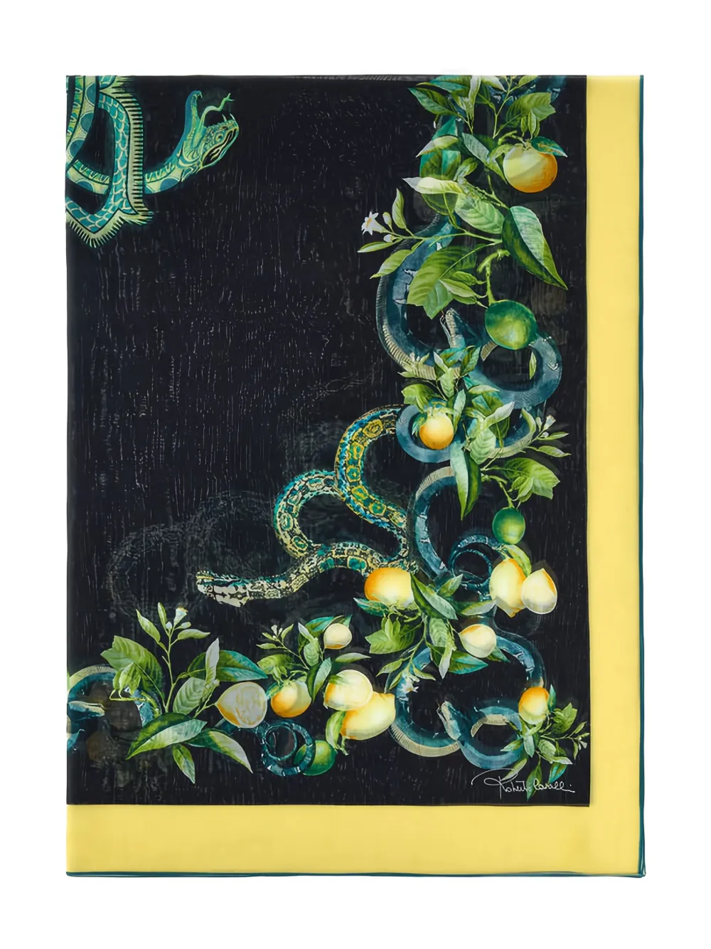 Шарф с принтом змеи и лимона Roberto Cavalli, черный
Шарф с принтом змеи и лимона Roberto Cavalli, черный