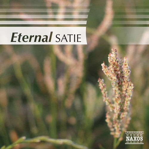 CD диск Eternal Satie / Various: Eternal Satie / Various
CD диск Eternal Satie / Various: Eternal Satie / Various