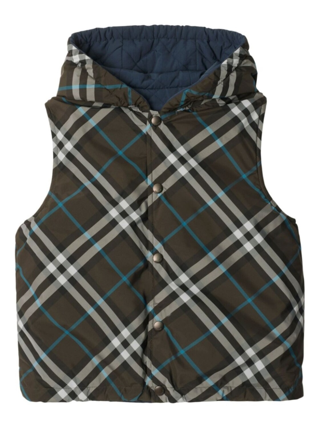 Двусторонний жилет в клетку Vintage Check Burberry Kids, синий
Двусторонний жилет в клетку Vintage Check Burberry Kids, синий