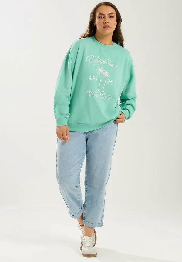 Толстовка Yours Clothing, Mint, Зеленый, Толстовка Yours Clothing, Mint
Толстовка Yours Clothing, Mint, Зеленый, Толстовка Yours Clothing, Mint