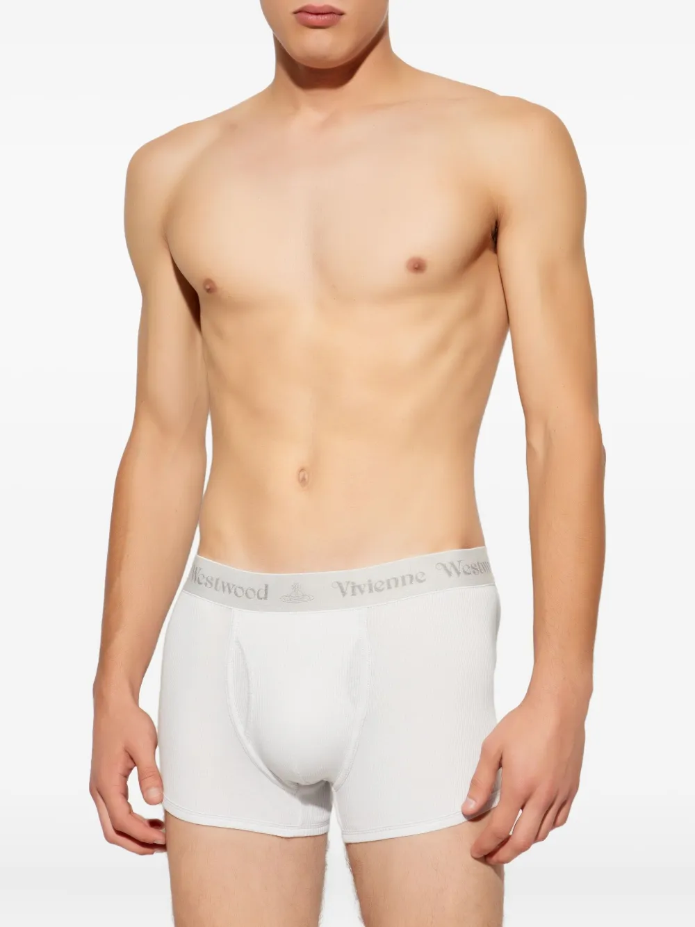 Боксеры с логотипом (упаковка из двух штук) Vivienne Westwood, белый
Боксеры с логотипом (упаковка из двух штук) Vivienne Westwood, белый