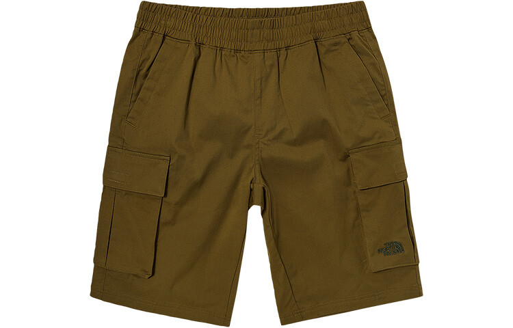 THE NORTH FACE Мужские шорты карго, цвет Brown
THE NORTH FACE Мужские шорты карго, цвет Brown