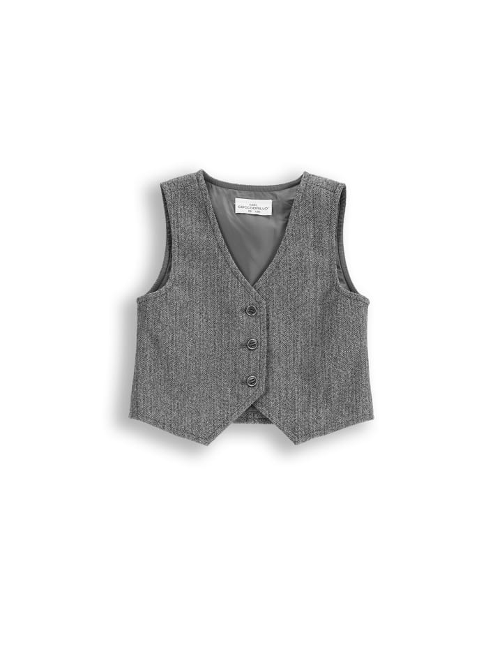 Coccodrillo Серый жилет
Coccodrillo Серый жилет