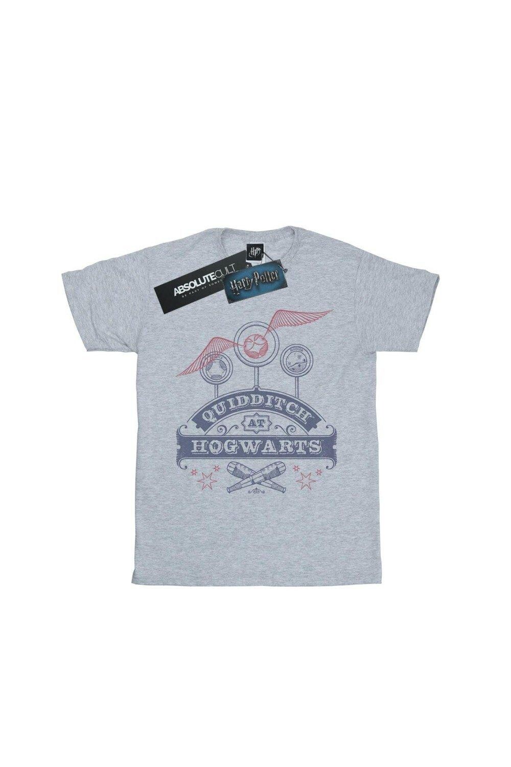 Хлопковая футболка для квиддича в Хогвартсе Harry Potter, серый
Хлопковая футболка для квиддича в Хогвартсе Harry Potter, серый