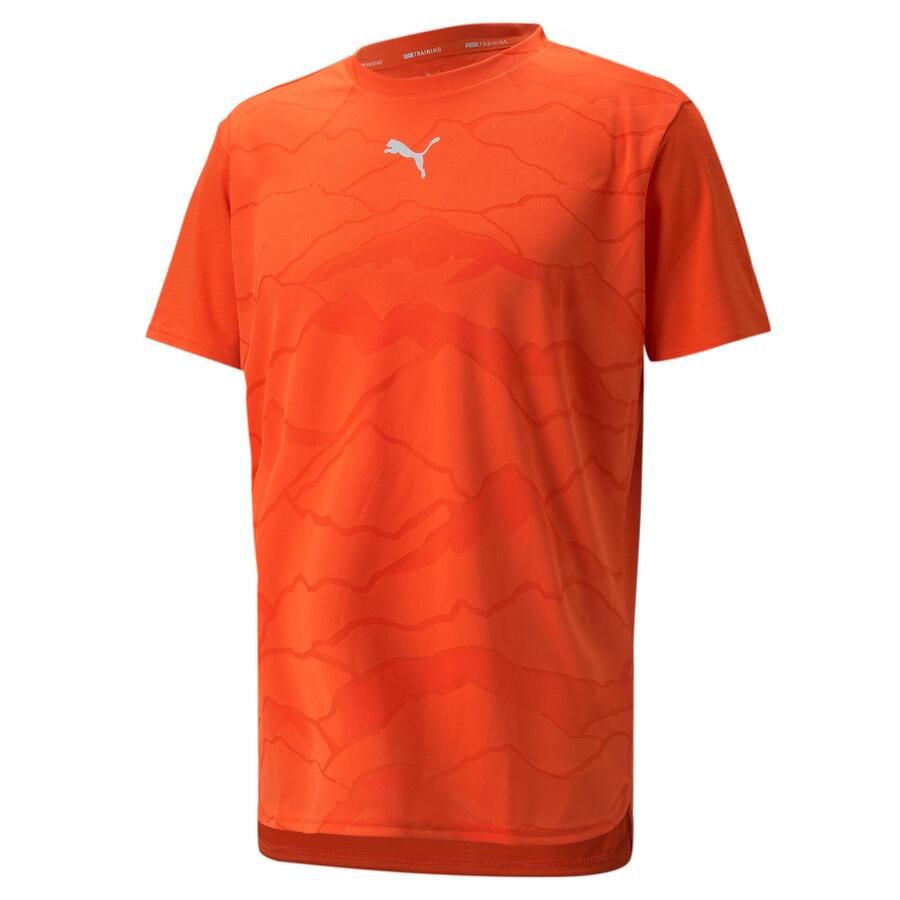 Мужская тренировочная футболка Puma Train Vent Tee с коротким рукавом 521530
Мужская тренировочная футболка Puma Train Vent Tee с коротким рукавом 521530