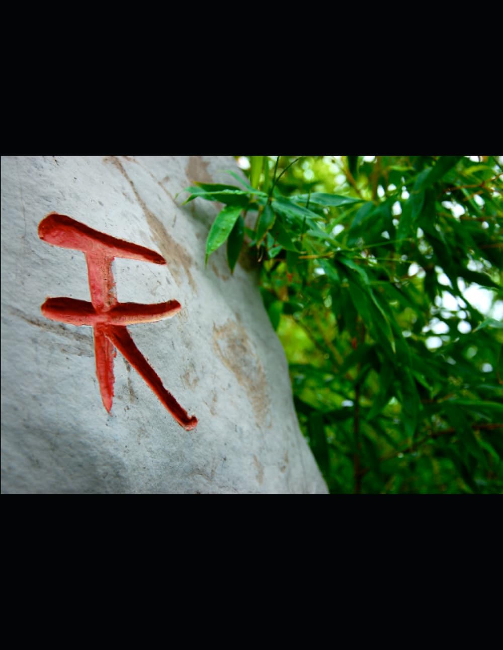 ALL MY FILES (Independently published)
ALL MY FILES (Independently published)