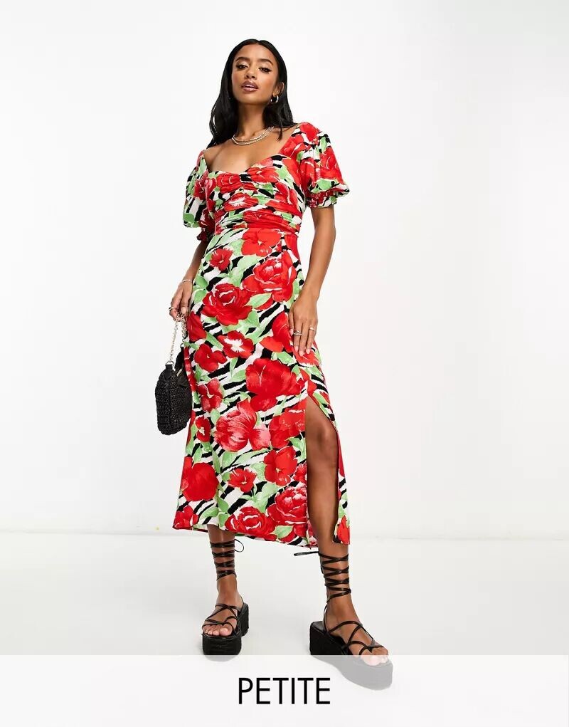 Платье миди со сборками в форме сердца Miss Selfridge Petite с цветочным зебровым принтом
Платье миди со сборками в форме сердца Miss Selfridge Petite с цветочным зебровым принтом