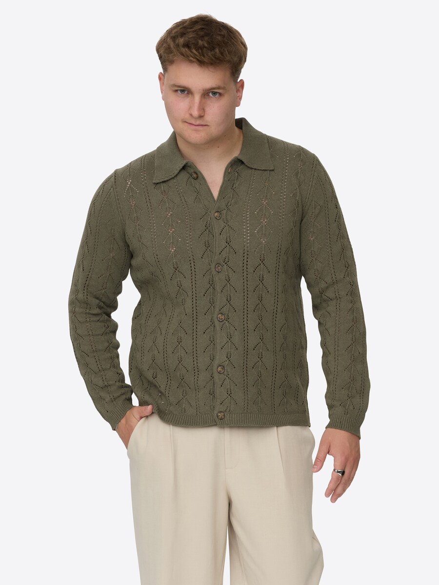 Свитер Dxnmxrk DXFini, оливковый
Свитер Dxnmxrk DXFini, оливковый