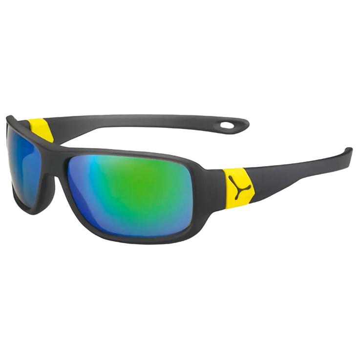 Солнцезащитные очки scratch grey yellow zone blue light grey green Cebe, Серый, Солнцезащитные очки scratch grey yellow zone blue light grey green Cebe
Солнцезащитные очки scratch grey yellow zone blue light grey green Cebe, Серый, Солнцезащитные очки scratch grey yellow zone blue light grey green Cebe