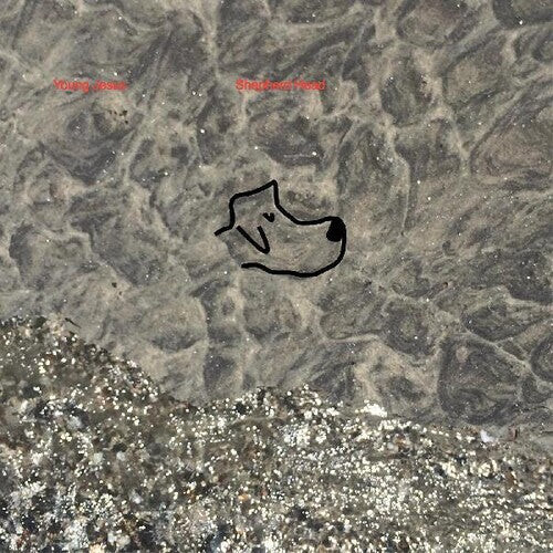 Виниловая пластинка Young Jesus: Shepherd Head
Виниловая пластинка Young Jesus: Shepherd Head