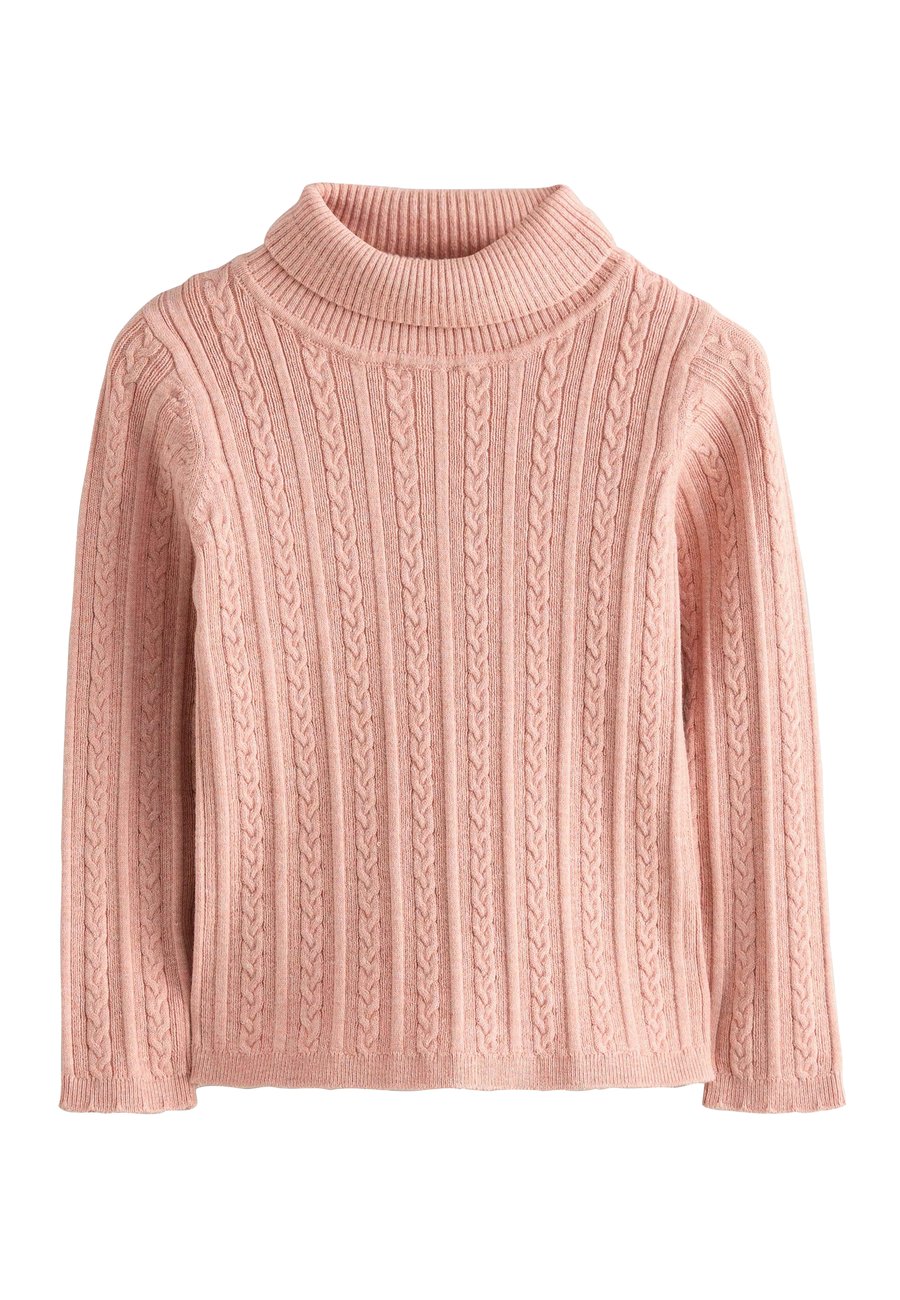 Джемпер Next REGULAR FIT-ROLL NECK, Pink/Coral
Джемпер Next REGULAR FIT-ROLL NECK, Pink/Coral