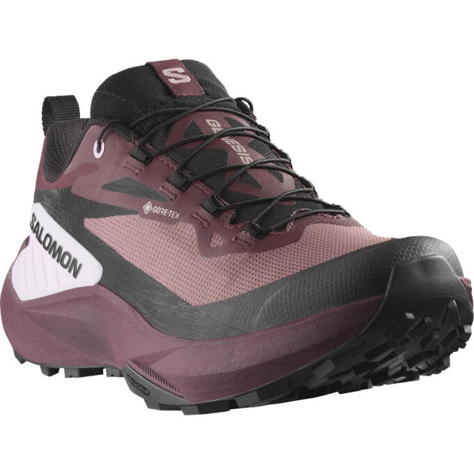 Кроссовки Salomon GENESIS GTX
Кроссовки Salomon GENESIS GTX
