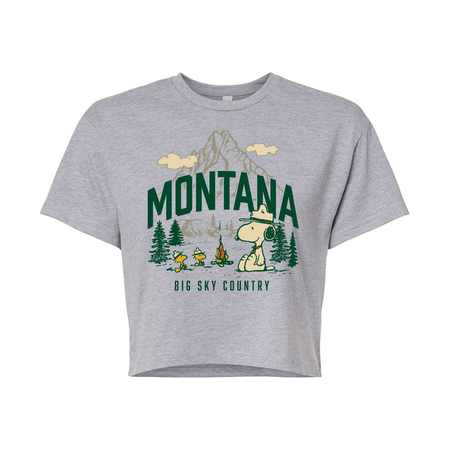 Укороченная футболка с рисунком Peanuts Montana для юниоров Licensed Character, серый
Укороченная футболка с рисунком Peanuts Montana для юниоров Licensed Character, серый