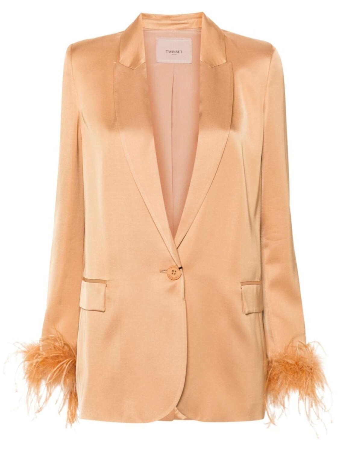 TWINSET атласный блейзер с отделкой из перьев, нейтральный цвет
TWINSET атласный блейзер с отделкой из перьев, нейтральный цвет