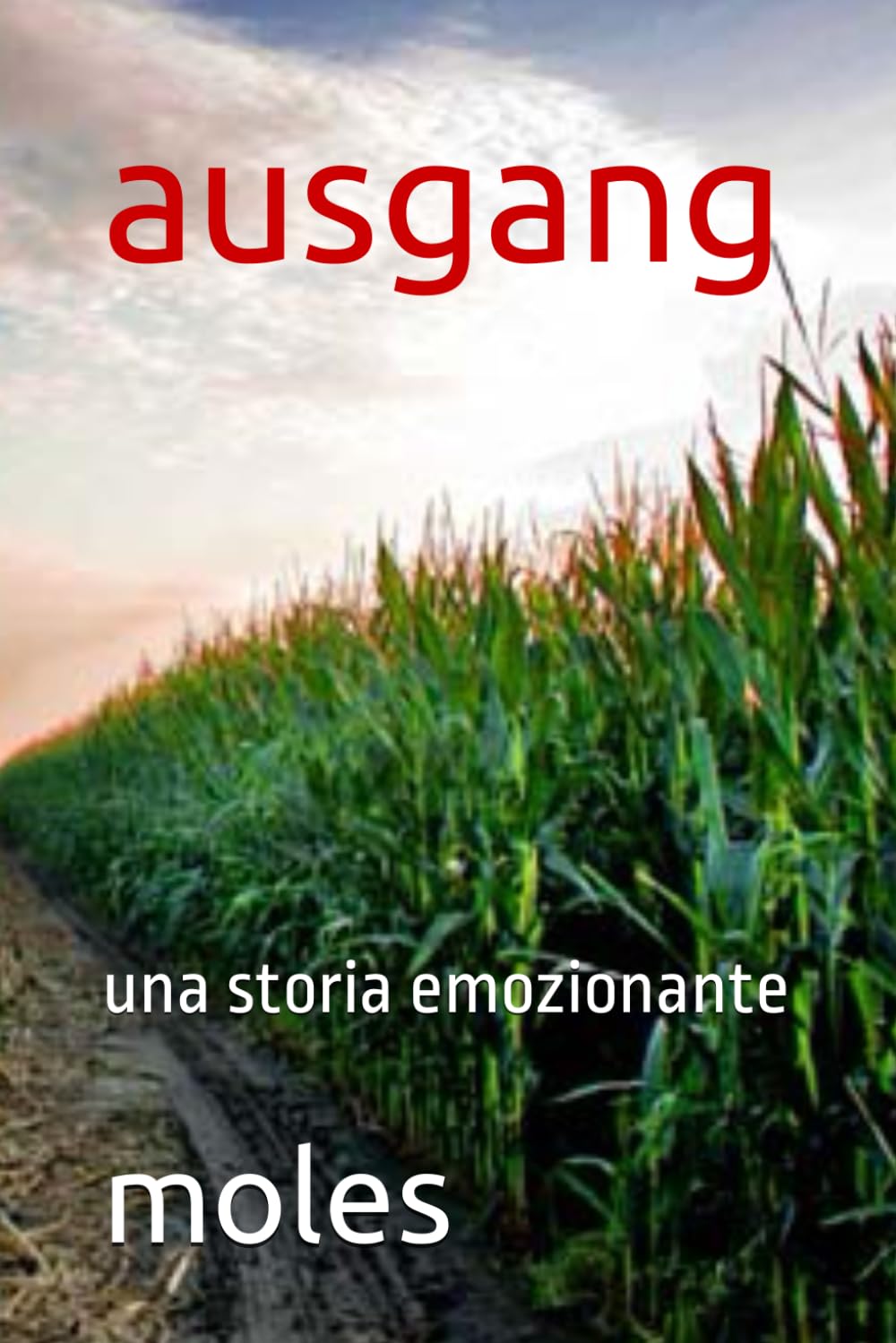 ausgang: una storia emozionante (Italian Edition) (Independently published)
ausgang: una storia emozionante (Italian Edition) (Independently published)