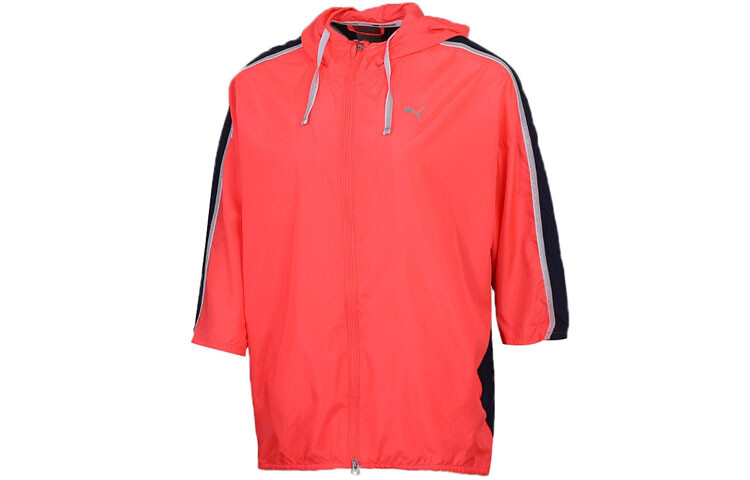 Спортивная куртка с капюшоном женская розово-голубая Puma, голубой, Розовый, Спортивная куртка с капюшоном женская розово-голубая Puma, голубой
Спортивная куртка с капюшоном женская розово-голубая Puma, голубой, Розовый, Спортивная куртка с капюшоном женская розово-голубая Puma, голубой