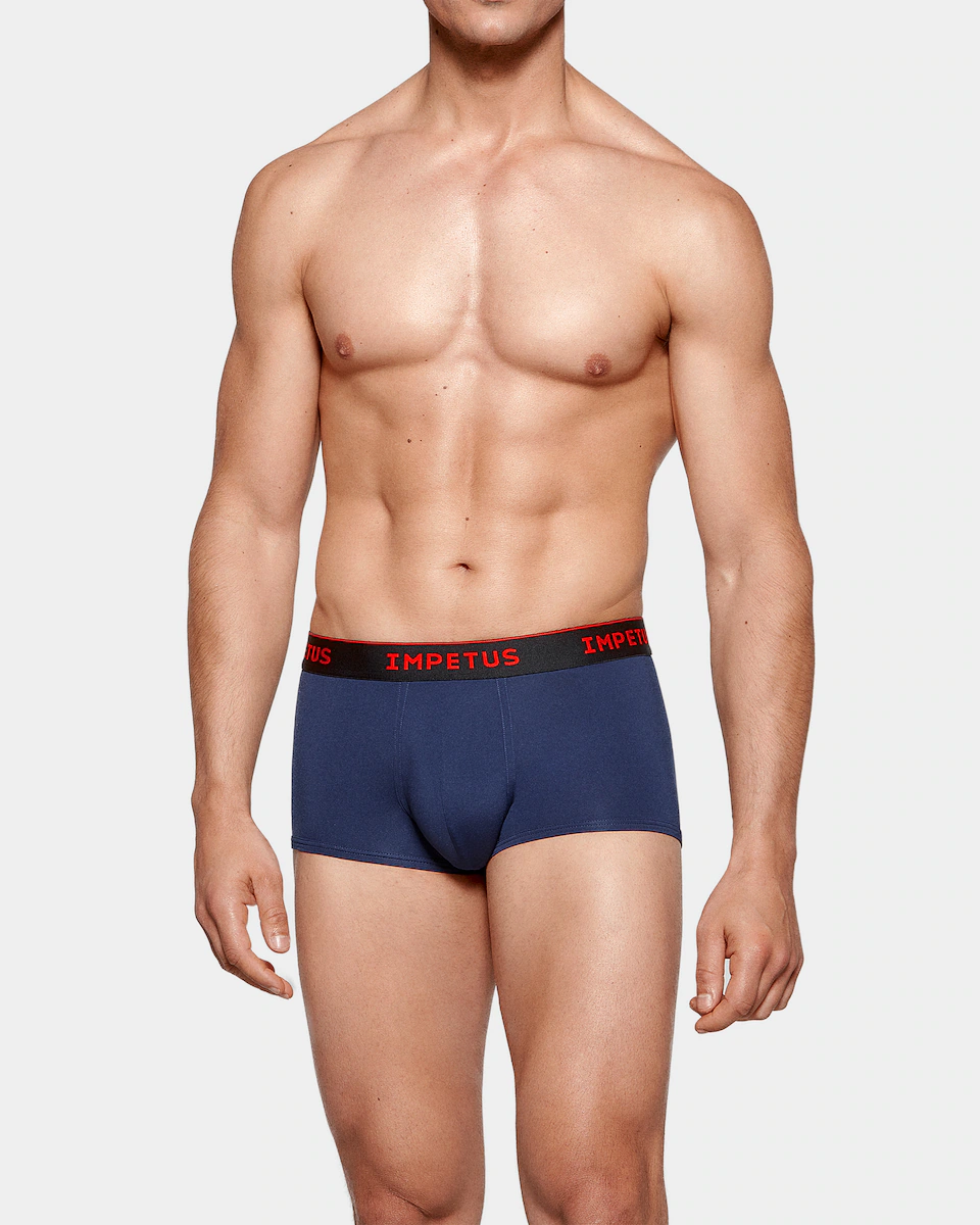 Мужские трикотажные боксерские шорты из полиамида Impetus, многоцветный
Мужские трикотажные боксерские шорты из полиамида Impetus, многоцветный