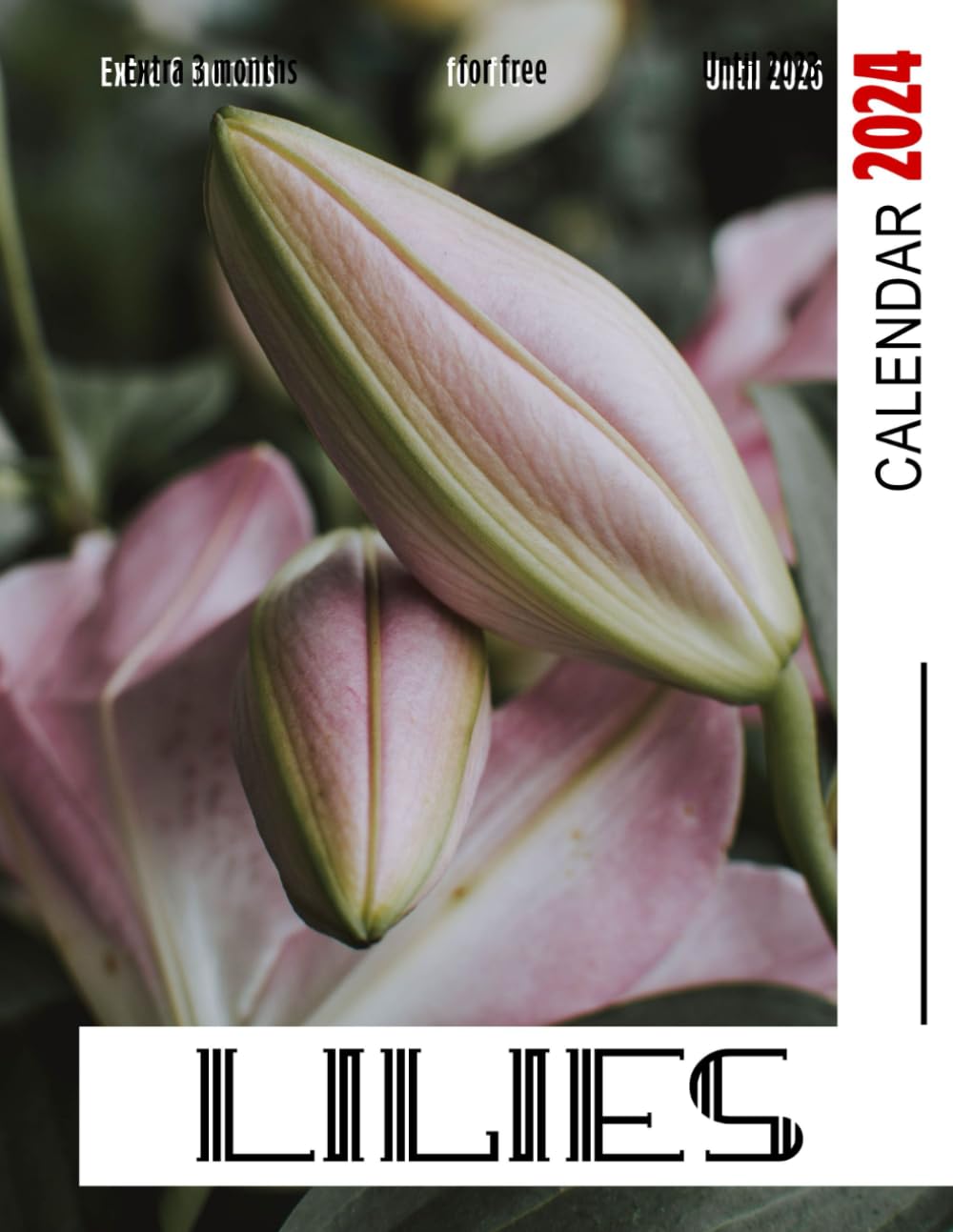 Calendar 2024: Great Gift For Beloved Fan and Collectors, Jan 2024 to Mar 2025, Eco Friendly, Major US Holidays
Calendar 2024: Great Gift For Beloved Fan and Collectors, Jan 2024 to Mar 2025, Eco Friendly, Major US Holidays