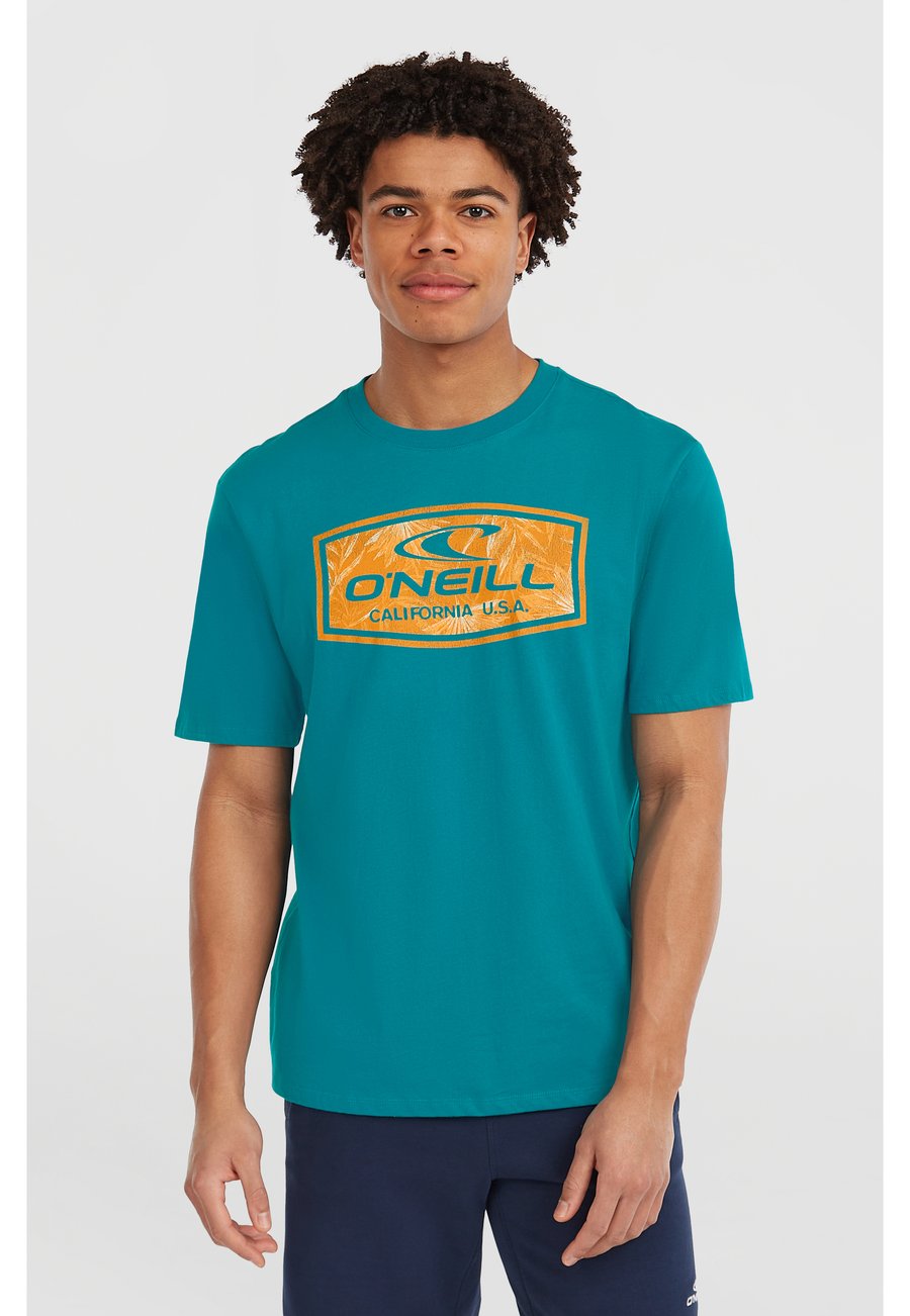 Футболка O'Neill GRAPHIC, Island Breeze/Turquoise
Футболка O'Neill GRAPHIC, Island Breeze/Turquoise