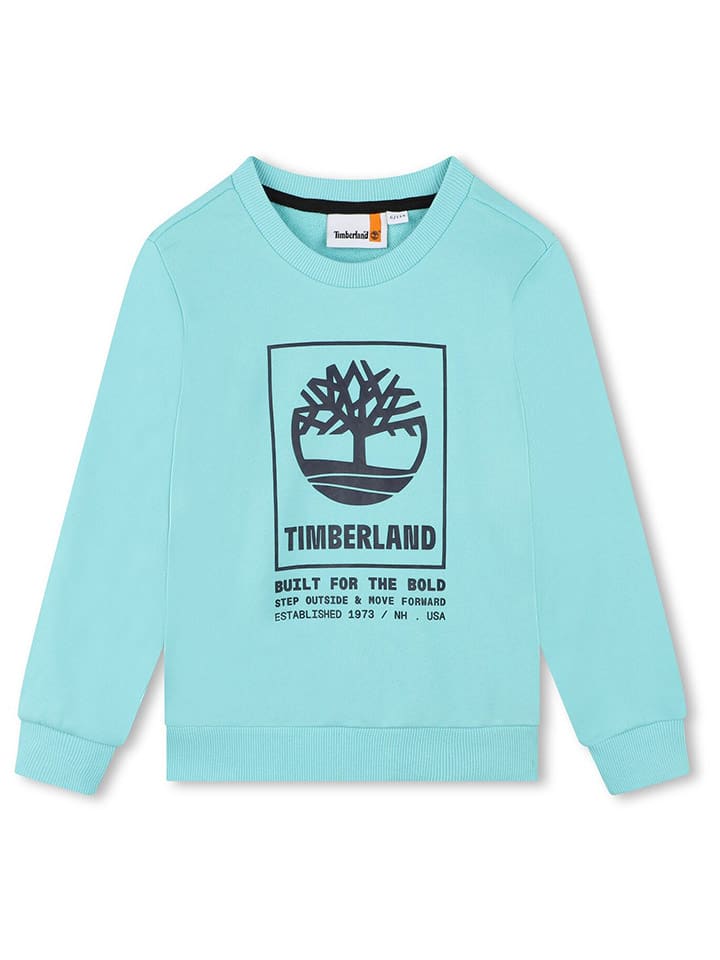 Светло-голубая толстовка Timberland
Светло-голубая толстовка Timberland