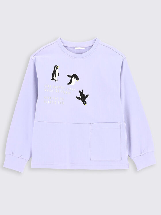 Толстовка обычного кроя Coccodrillo, фиолетовый
Толстовка обычного кроя Coccodrillo, фиолетовый