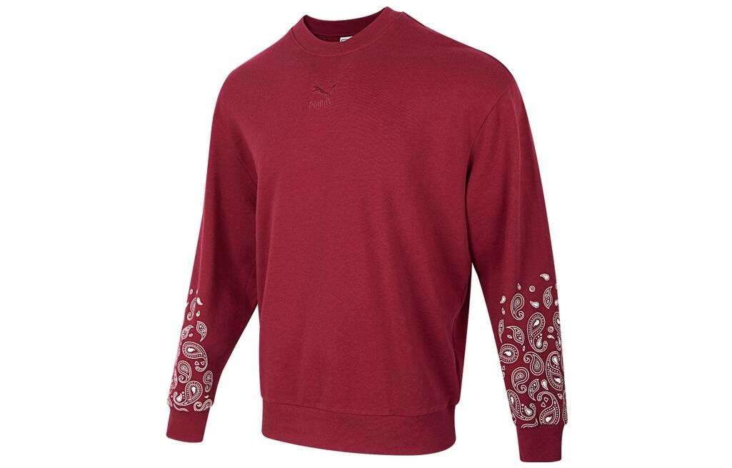 Толстовка Sports Life Collection унисекс красная Puma, красный
Толстовка Sports Life Collection унисекс красная Puma, красный