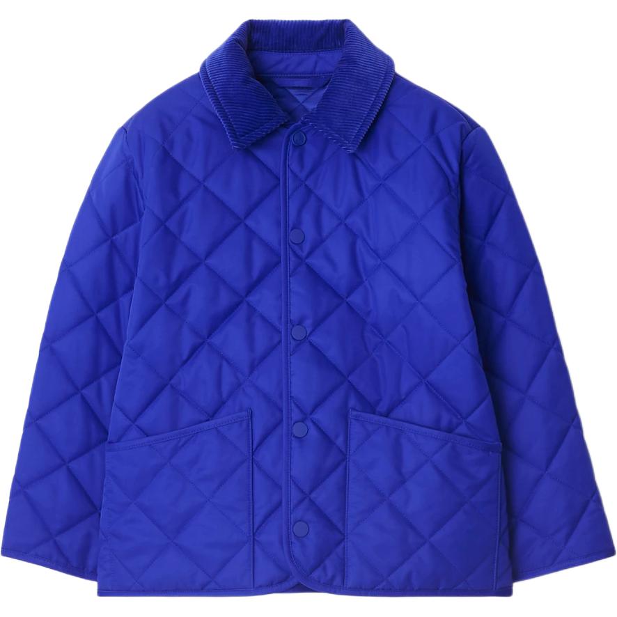 Burberry Пуховик Knight Blue детский
Burberry Пуховик Knight Blue детский