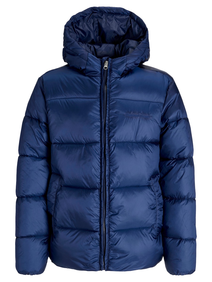 Зимняя куртка Jack & Jones Junior Norrebro, синий
Зимняя куртка Jack & Jones Junior Norrebro, синий