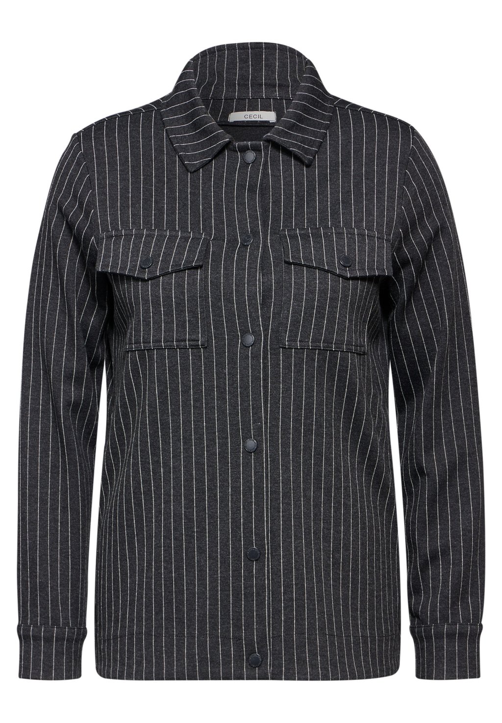 Толстовка на молнии Cecil, серый
Толстовка на молнии Cecil, серый