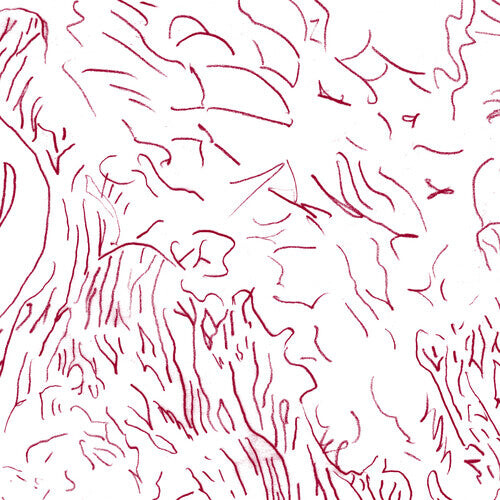 CD диск Skinner, Tom: Voices Of Bishara
CD диск Skinner, Tom: Voices Of Bishara