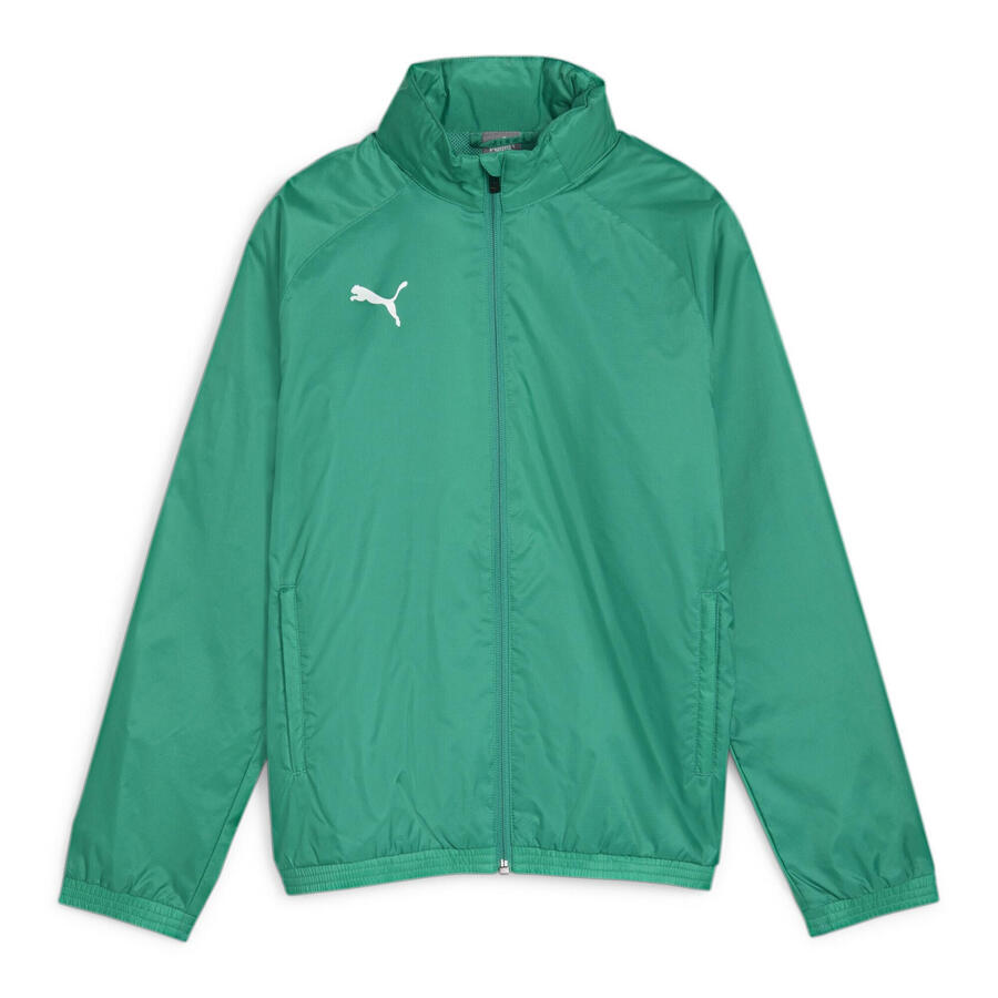 Детская всепогодная куртка Puma teamGOAL Allweather Jacket Jr 659045
Детская всепогодная куртка Puma teamGOAL Allweather Jacket Jr 659045