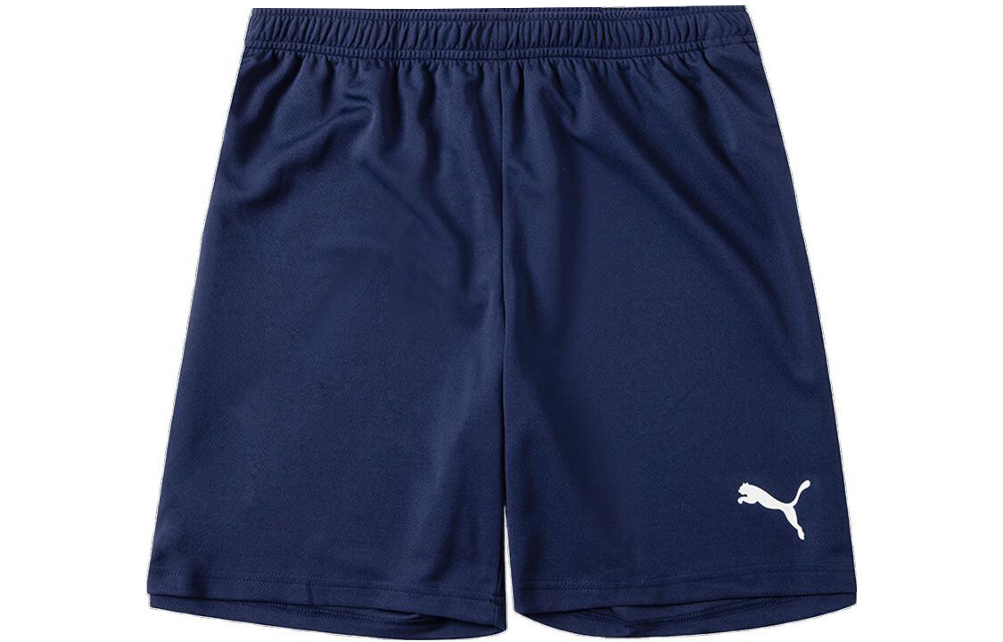 Мужские повседневные шорты Puma, цвет Blue 
Мужские повседневные шорты Puma, цвет Blue