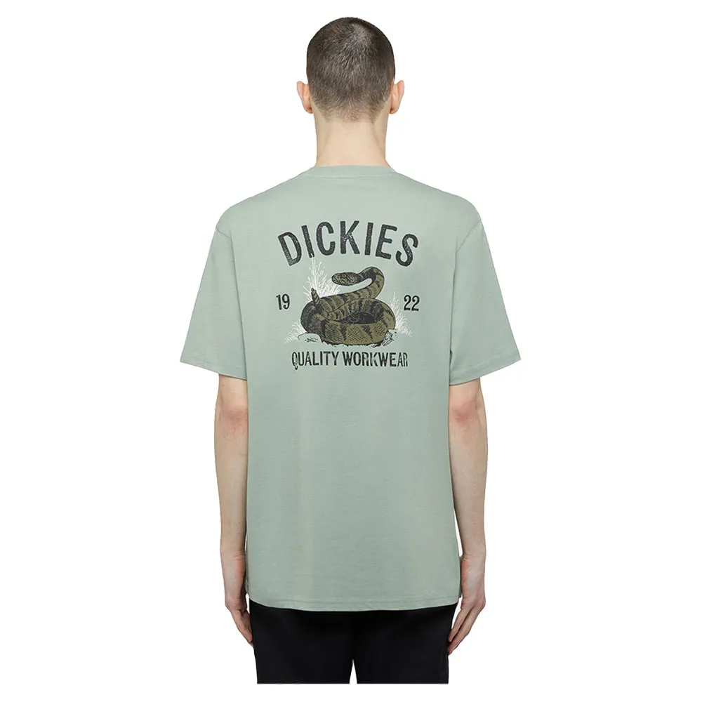 Футболка с коротким рукавом Dickies Snake, зеленый
Футболка с коротким рукавом Dickies Snake, зеленый