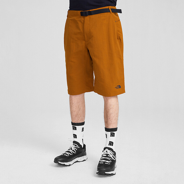 Повседневные шорты мужские коричневые The North Face, коричневый
Повседневные шорты мужские коричневые The North Face, коричневый