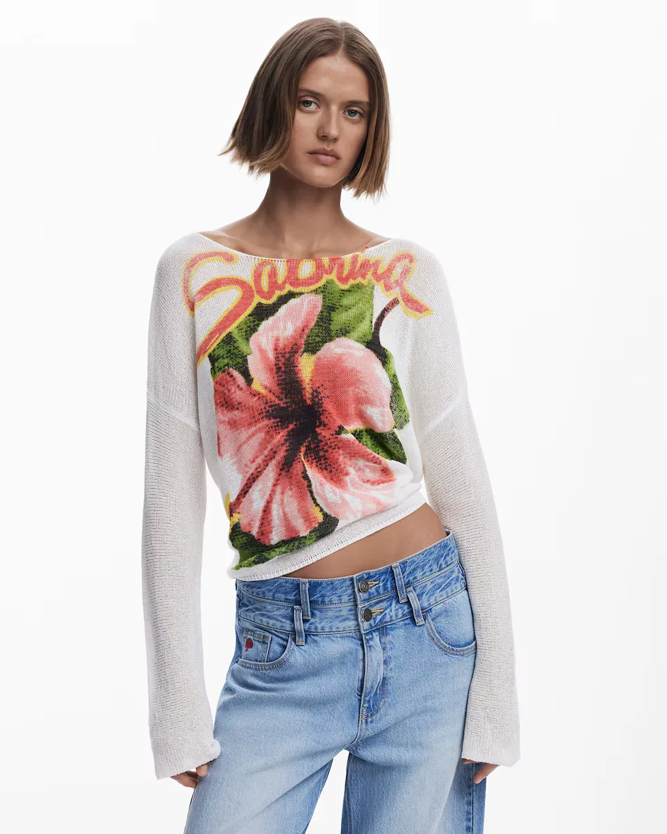 Женский свитер Sabrina с принтом спереди Desigual, белый
Женский свитер Sabrina с принтом спереди Desigual, белый