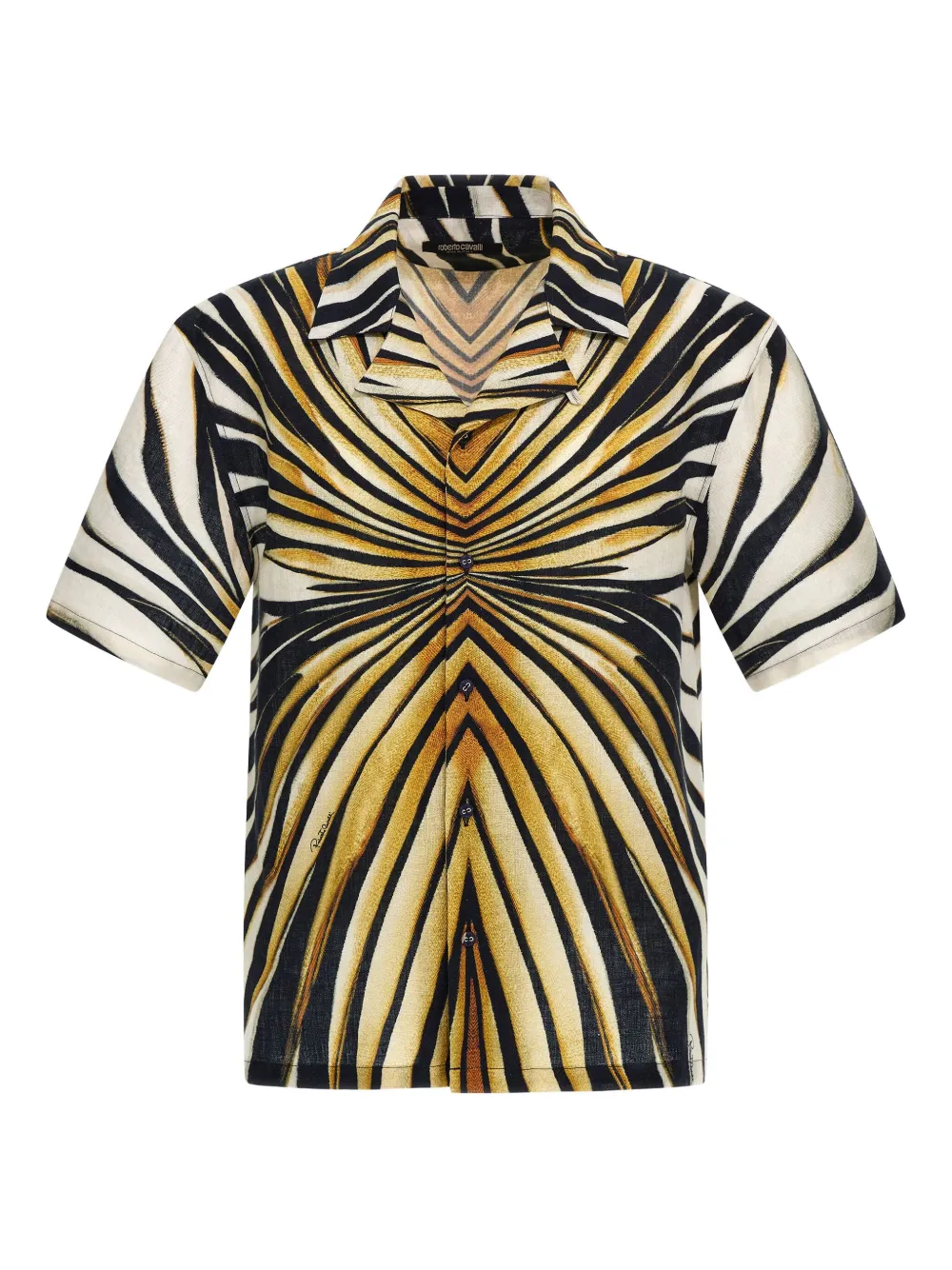 Рубашка с графическим принтом Roberto Cavalli, желтый
Рубашка с графическим принтом Roberto Cavalli, желтый