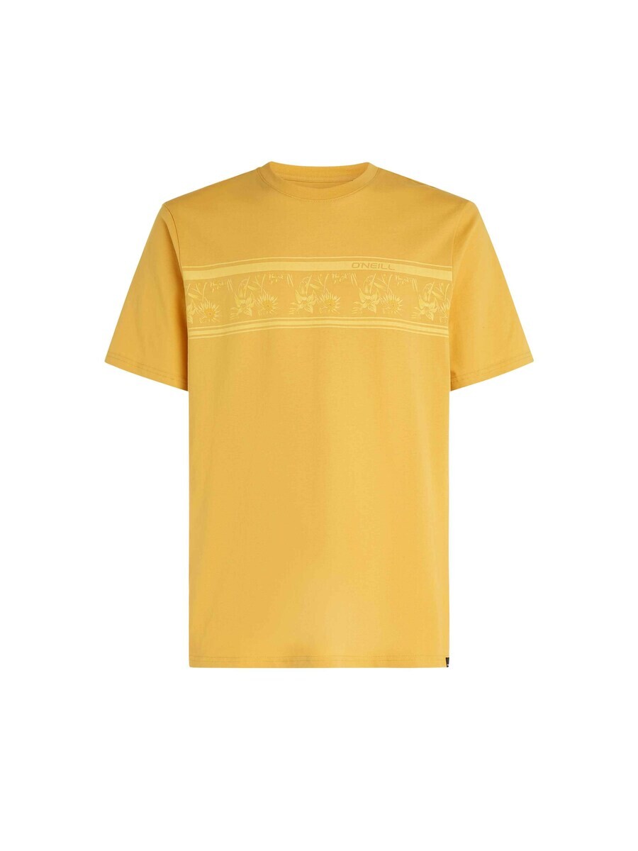 Футболка O'NEILL ONEILL SHIRT, цвет Lemon/Yellow Gold
Футболка O'NEILL ONEILL SHIRT, цвет Lemon/Yellow Gold