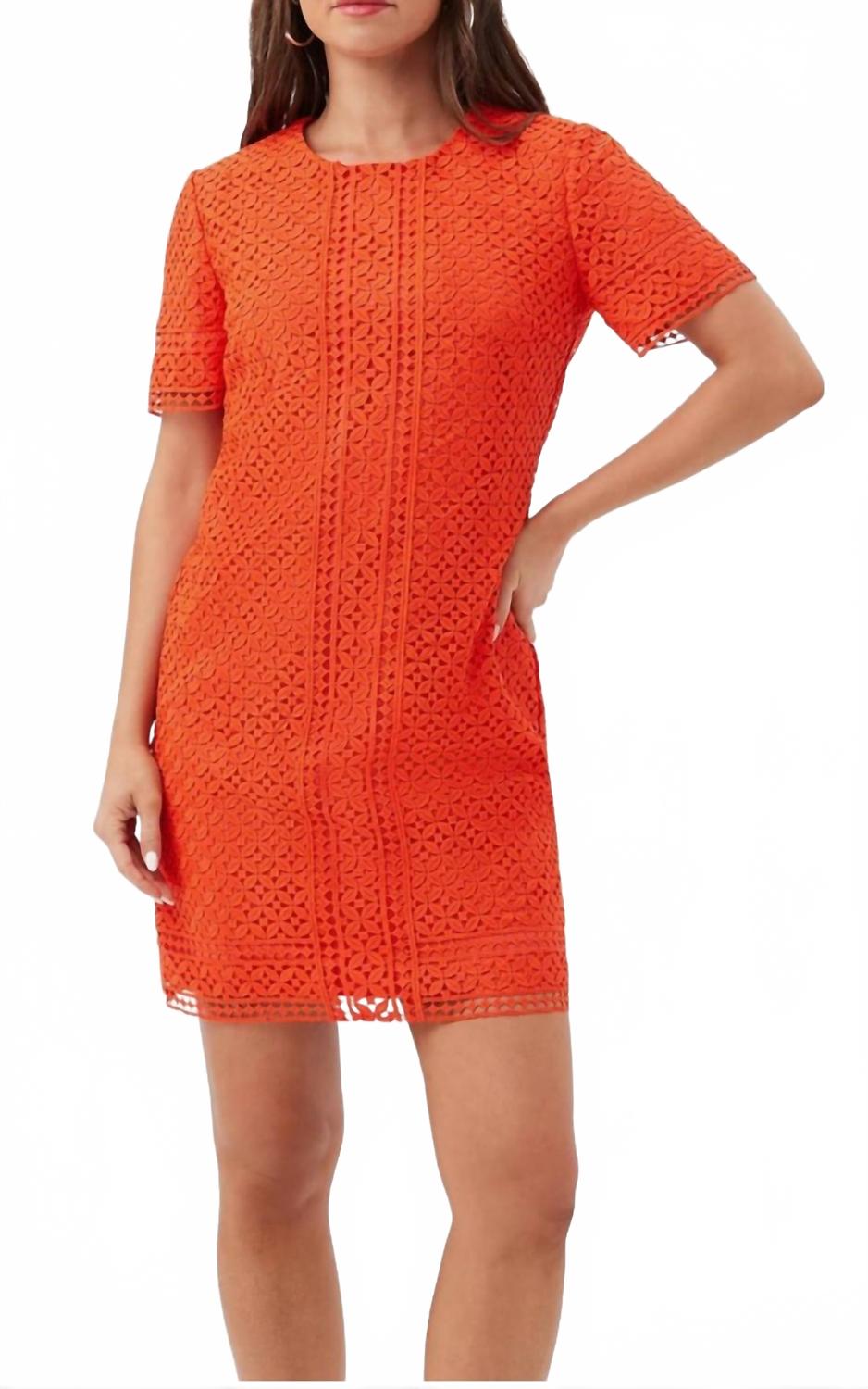 Оранжевое платье Kimasu Trina Turk, оранжевый
Оранжевое платье Kimasu Trina Turk, оранжевый