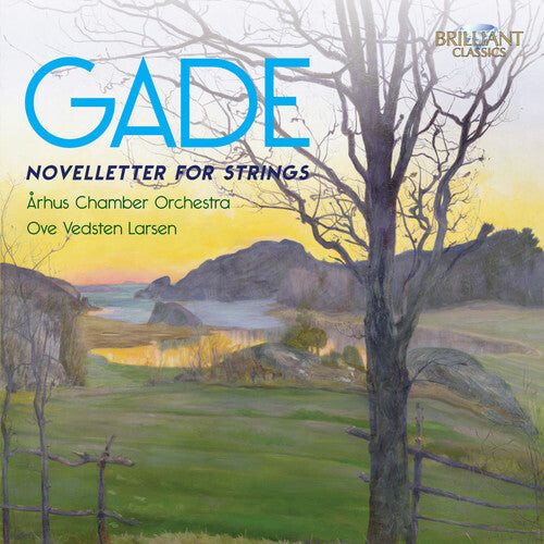 CD диск Gade / Arhus Chamber Orchestra / Larsen: Novelletter for Strings
CD диск Gade / Arhus Chamber Orchestra / Larsen: Novelletter for Strings