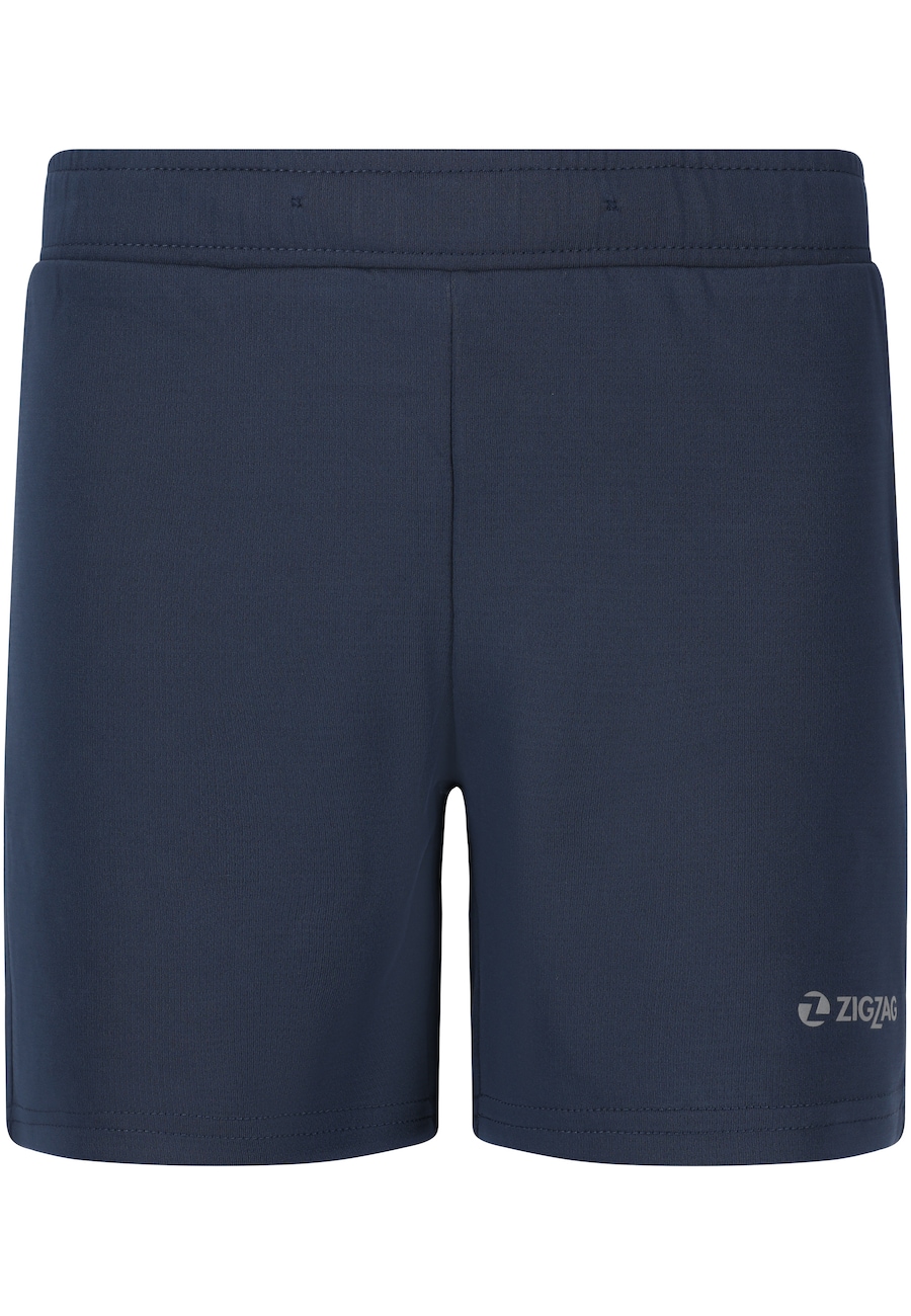 Обычные спортивные штаны ZigZag Proton, темно-синий
Обычные спортивные штаны ZigZag Proton, темно-синий