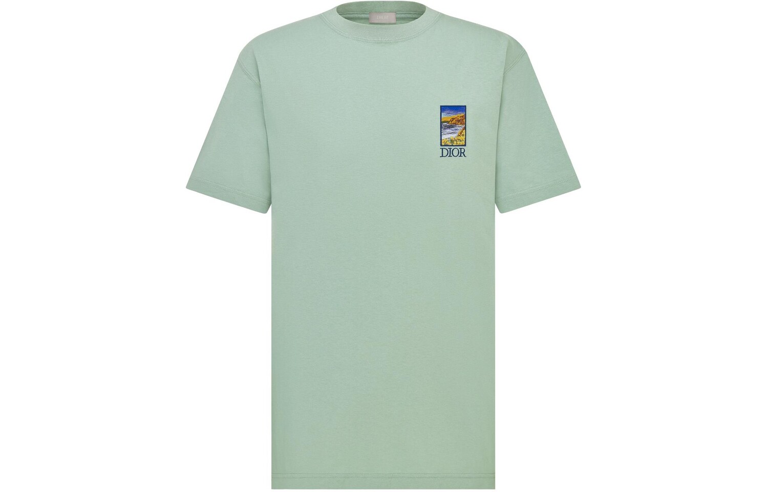Футболка мужская зеленая Dior, зеленый 
Футболка мужская зеленая Dior, зеленый