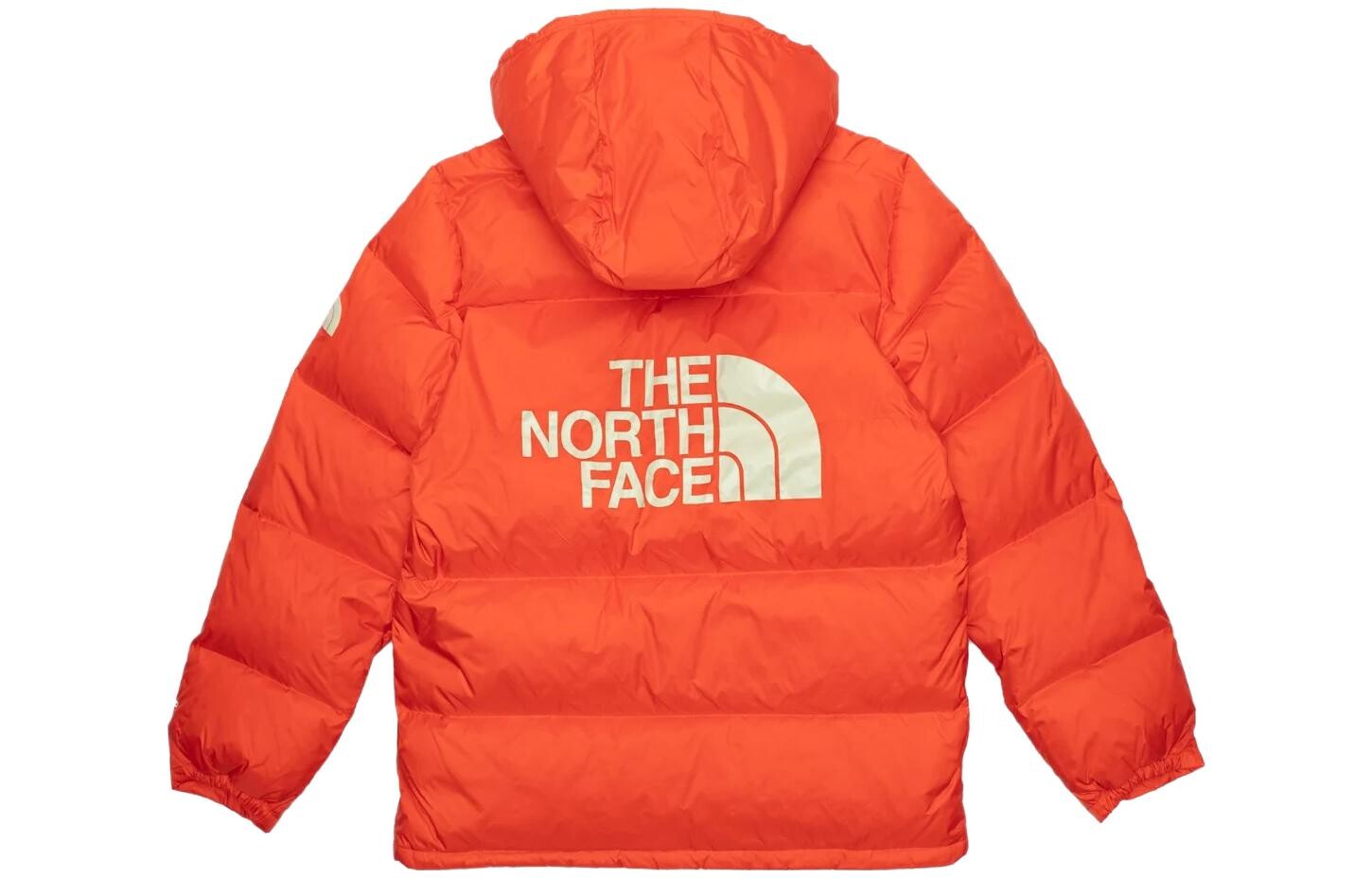 Мужская парка Sierra в стиле колор-блок The North Face, оранжевый
Мужская парка Sierra в стиле колор-блок The North Face, оранжевый