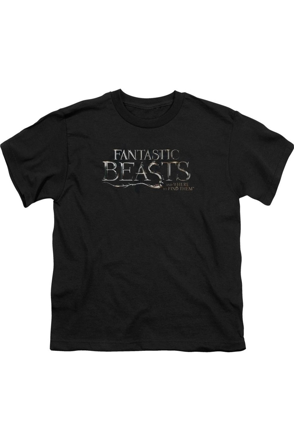 Футболка с коротким рукавом для детей с логотипом «Фантастические твари» Gildan, черный
Футболка с коротким рукавом для детей с логотипом «Фантастические твари» Gildan, черный