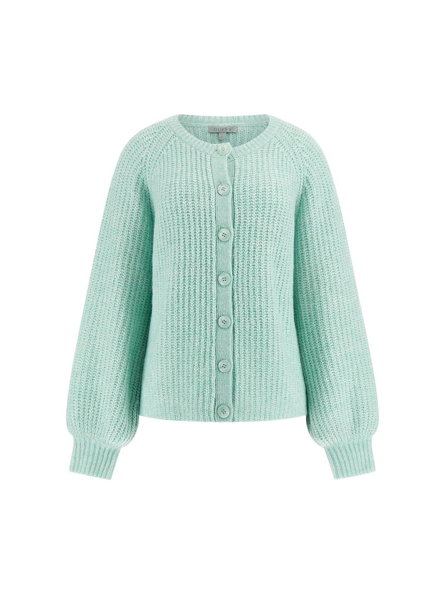 Вязаный кардиган GUESS, пастельный зеленый
Вязаный кардиган GUESS, пастельный зеленый